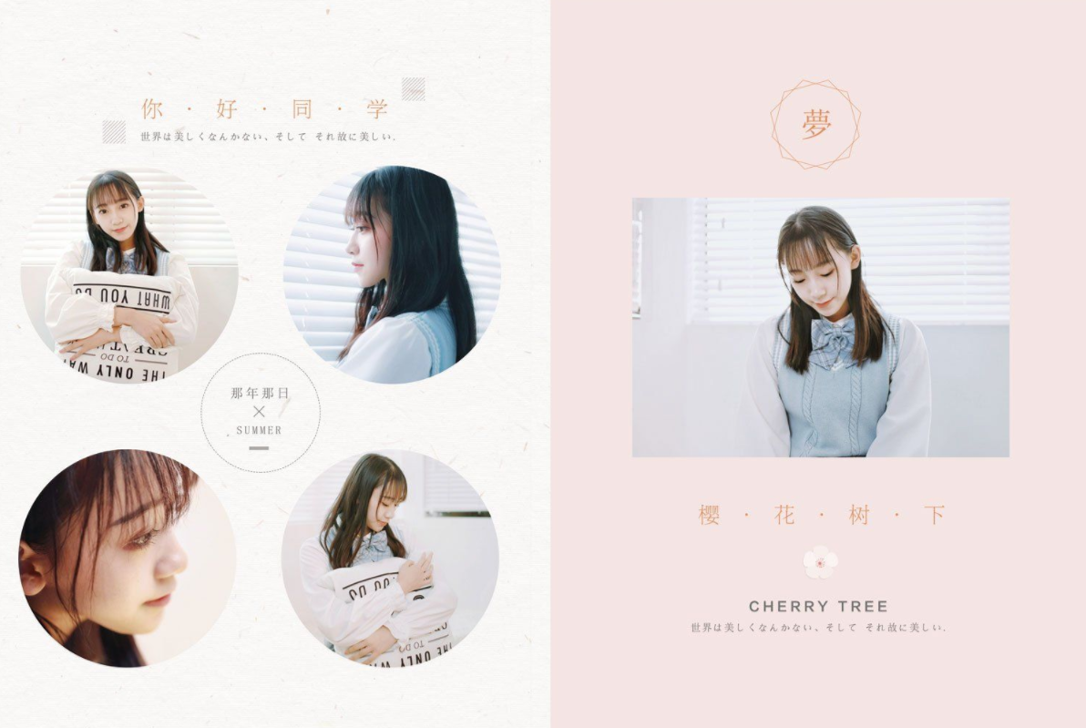 Photoshop模板,毕业季相册,毕业季模板
