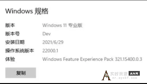 Windows 11 操作系统预览版 64 位