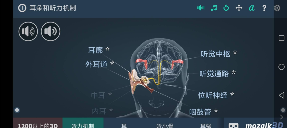 听力机制,互动教育,耳科的福利