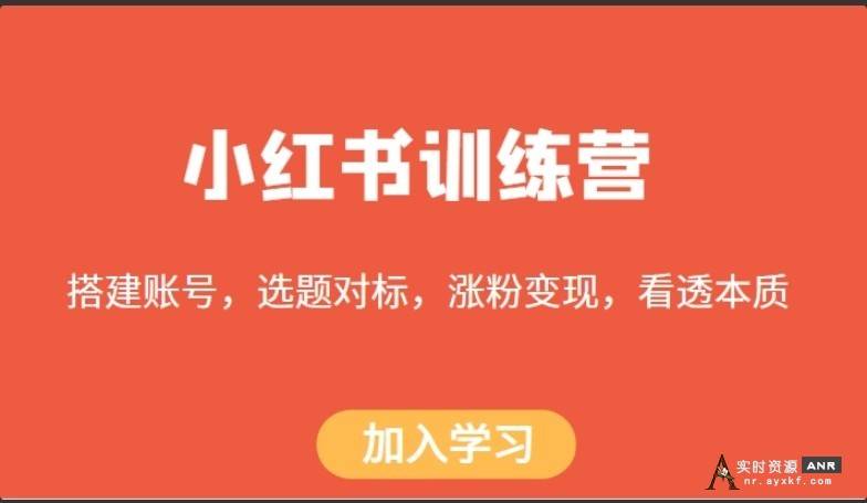 小红书训练营，搭建账号，选题对标，涨粉变现，看透本质 网络资源 图1张