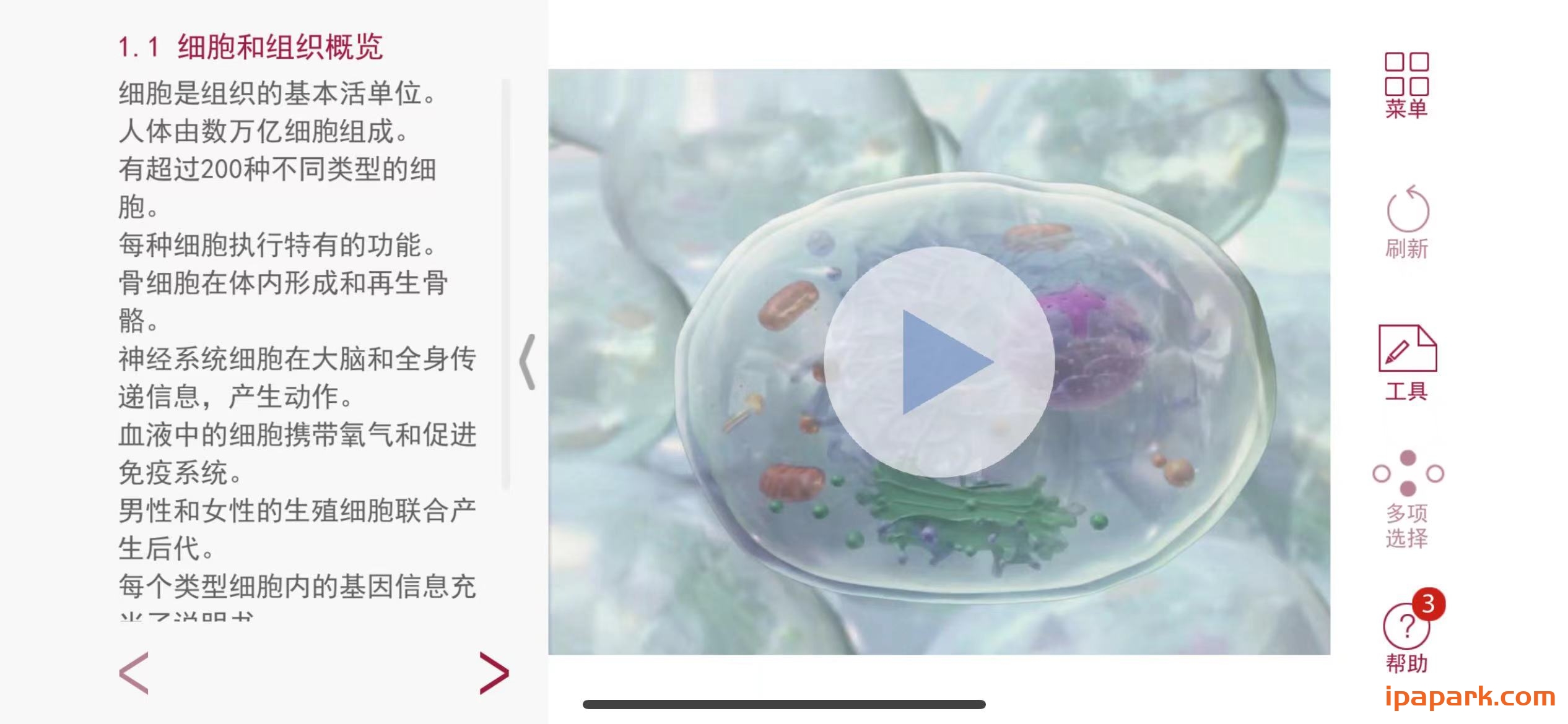 图片[2]-解剖和生理学 6.2.00-ANR资源网