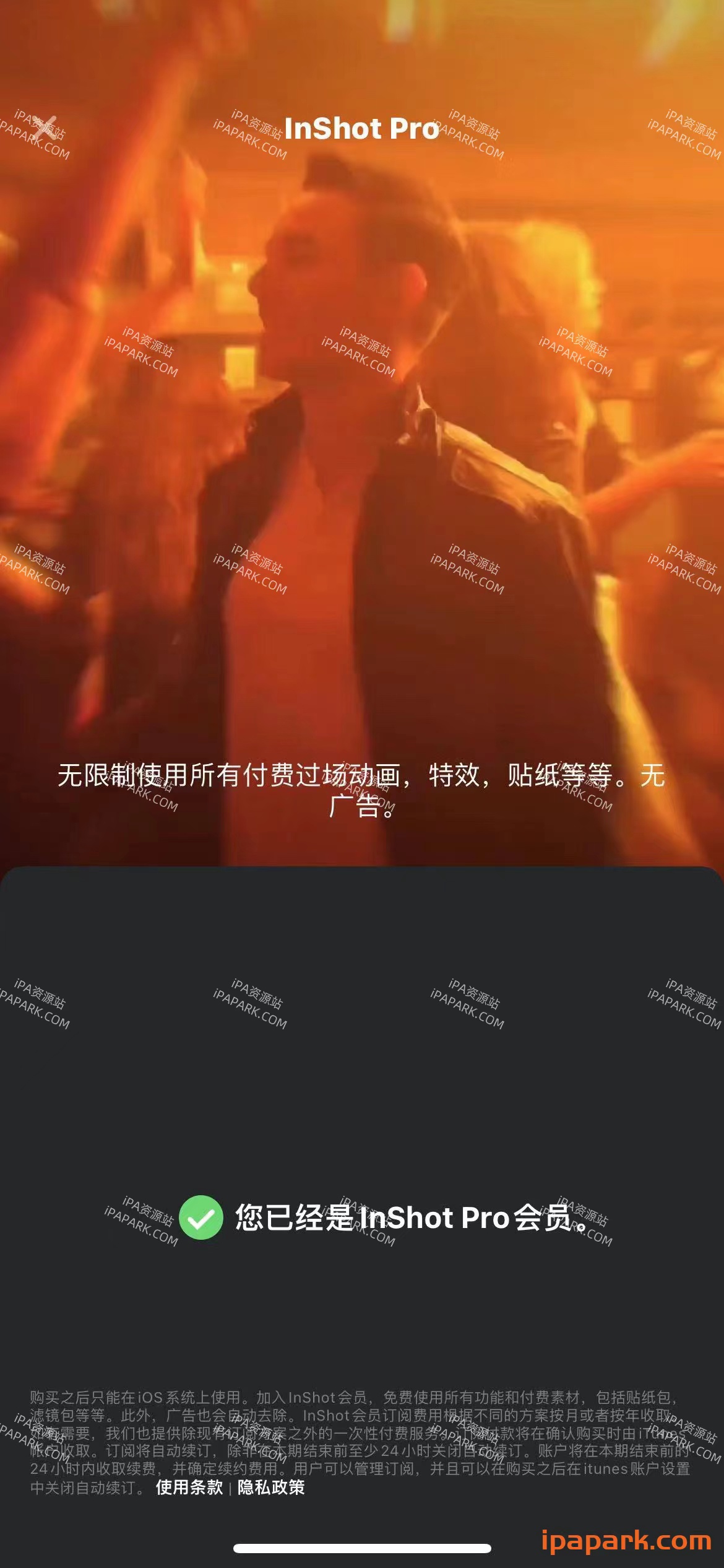 inshot 1.82.0 视频剪辑制作-ANR资源网 更多 图2张