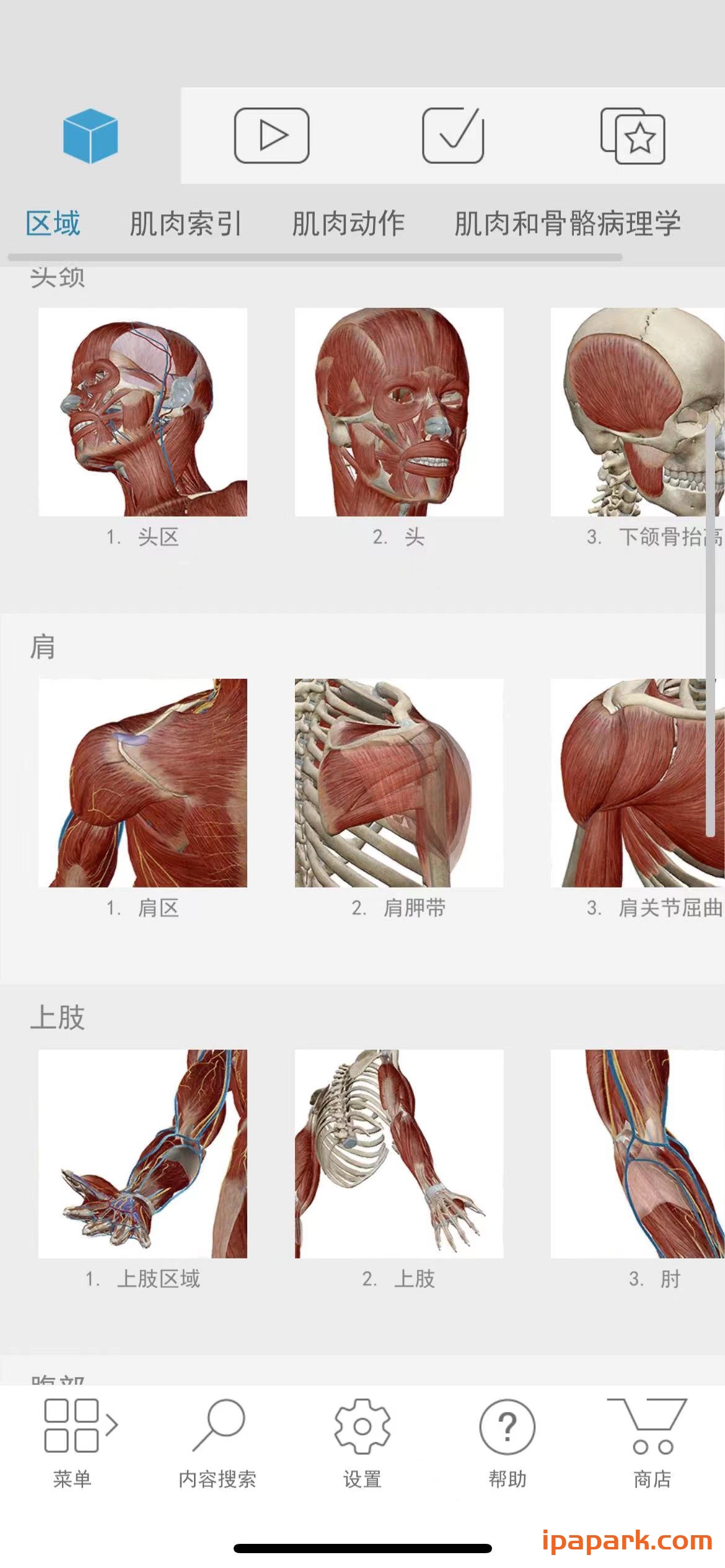 肌肉与运动机能学 9.0.50-ANR资源网 更多 图2张