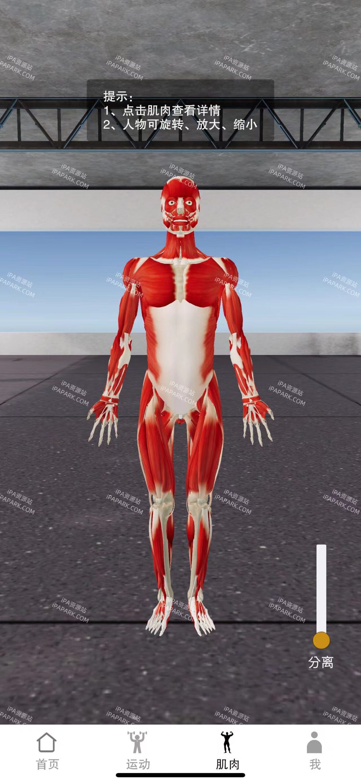 图片[4]-尚可健身 4.2.4 Adbk-ANR资源网