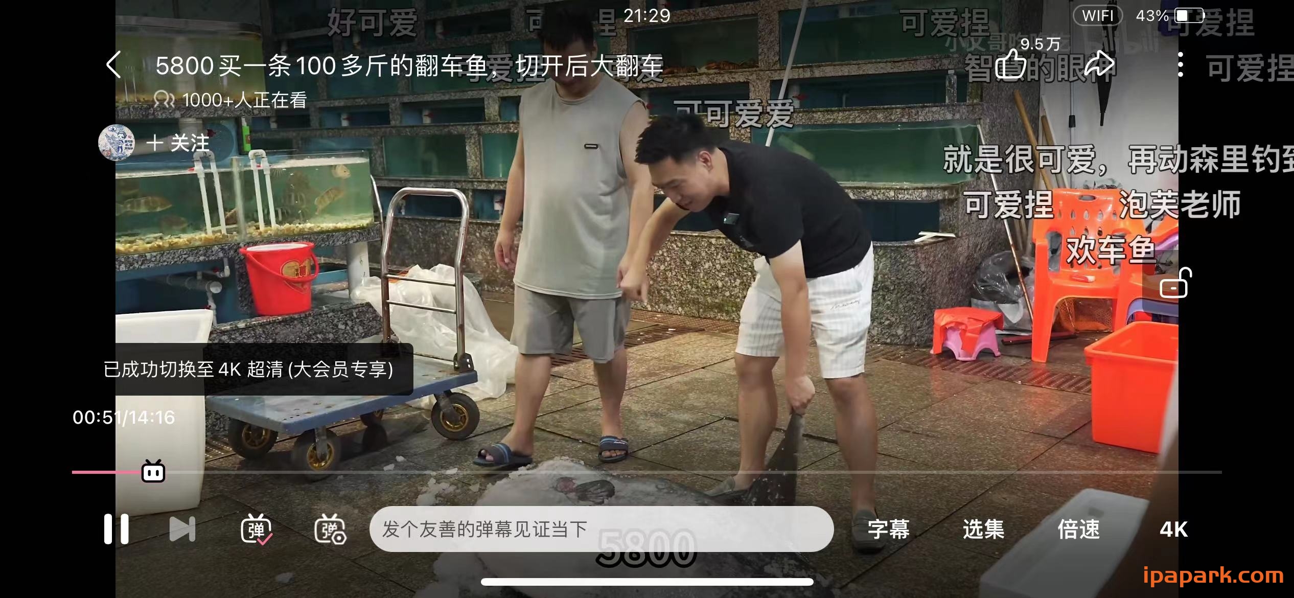 哔哩哔哩 7.54.0 解锁大会员画质-ANR资源网 更多 图1张