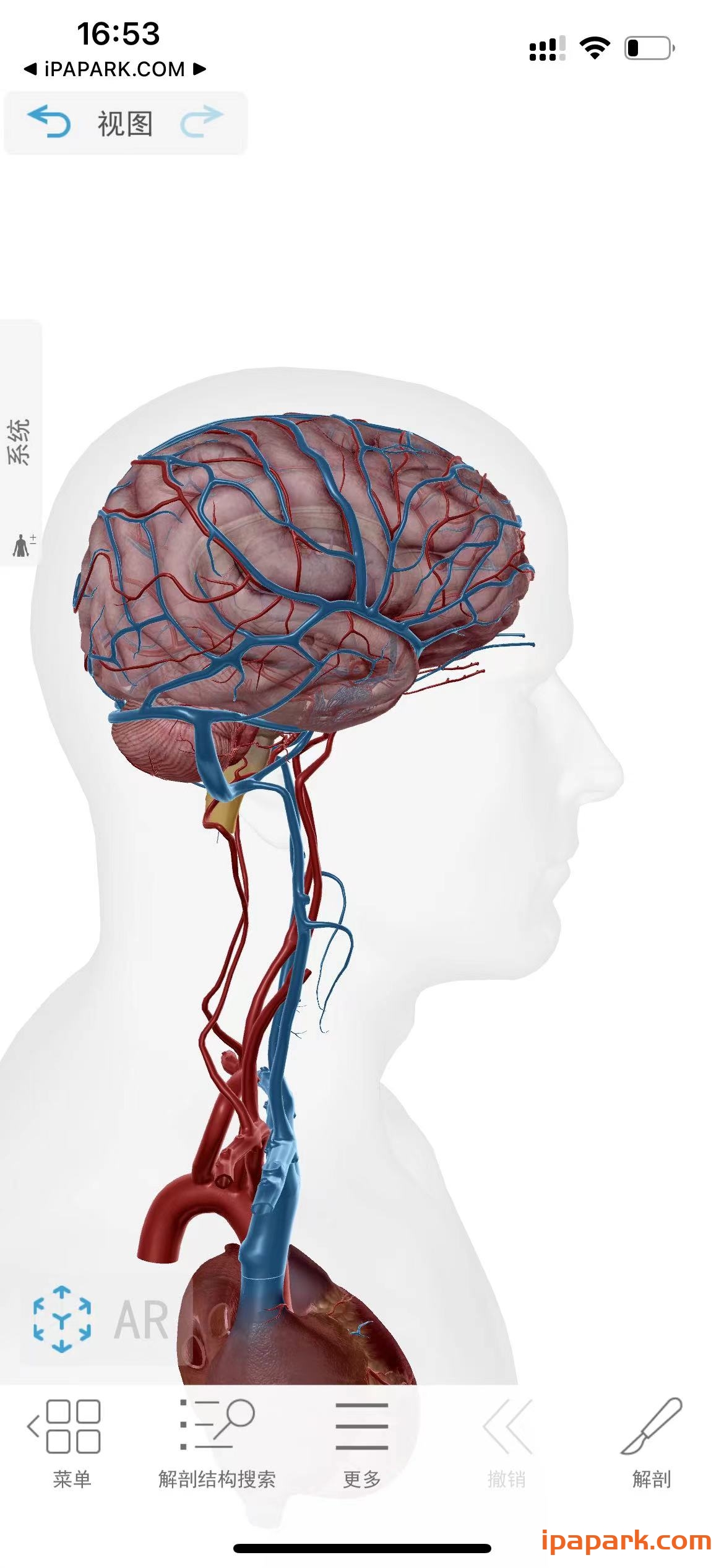 2024人体解剖学图谱 2024.00.005-ANR资源网 更多 图2张
