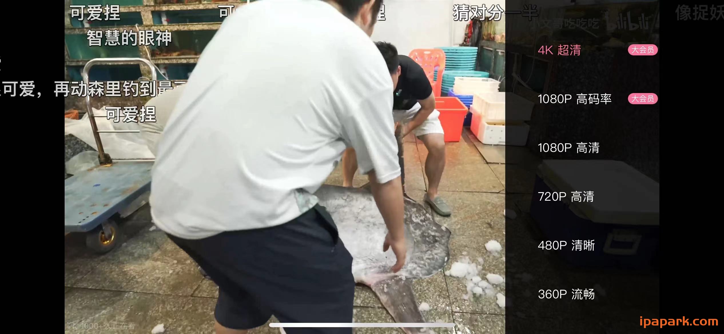 哔哩哔哩 7.54.0 解锁大会员画质-ANR资源网 更多 图2张