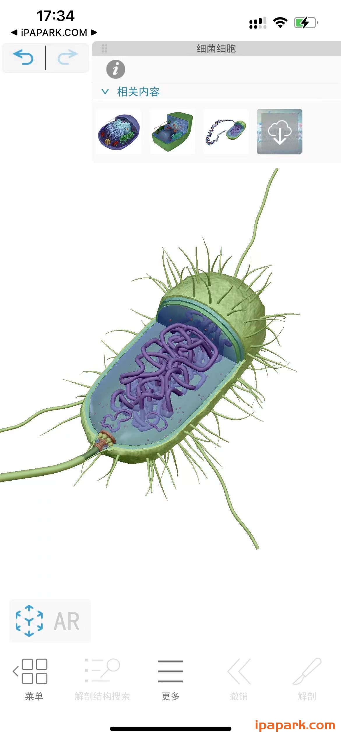 可视化生物学 1.00.047-ANR资源网 更多 图2张