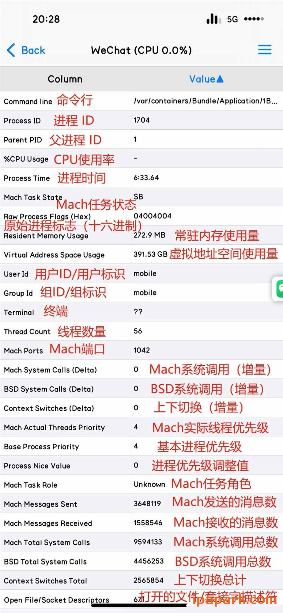 图片[8]-CocoaTop 1.0 进程管理工具-ANR资源网
