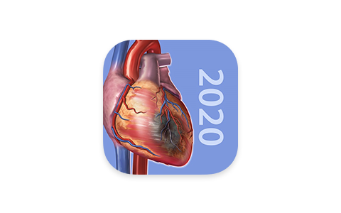 生理和病理学 1.1.39-ANR资源网