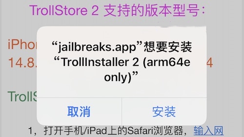 TrollStore 巨魔商店 使用教程-ANR资源网 教程 图4张