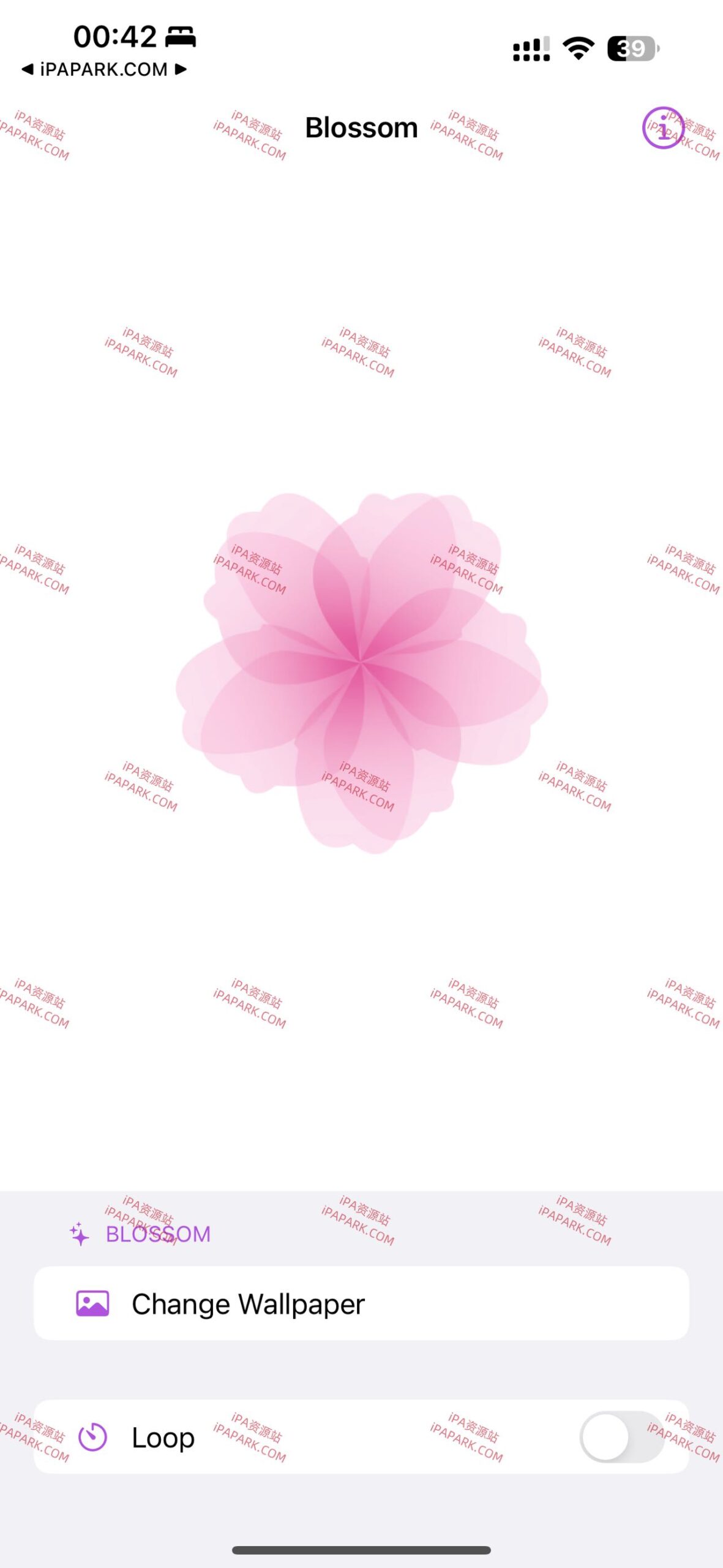 Blossom 1.0 动态壁纸-ANR资源网