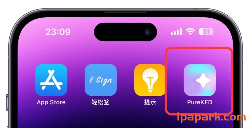 图片[3]-使用PureKFD工具安装巨魔商店2教程-ANR资源网