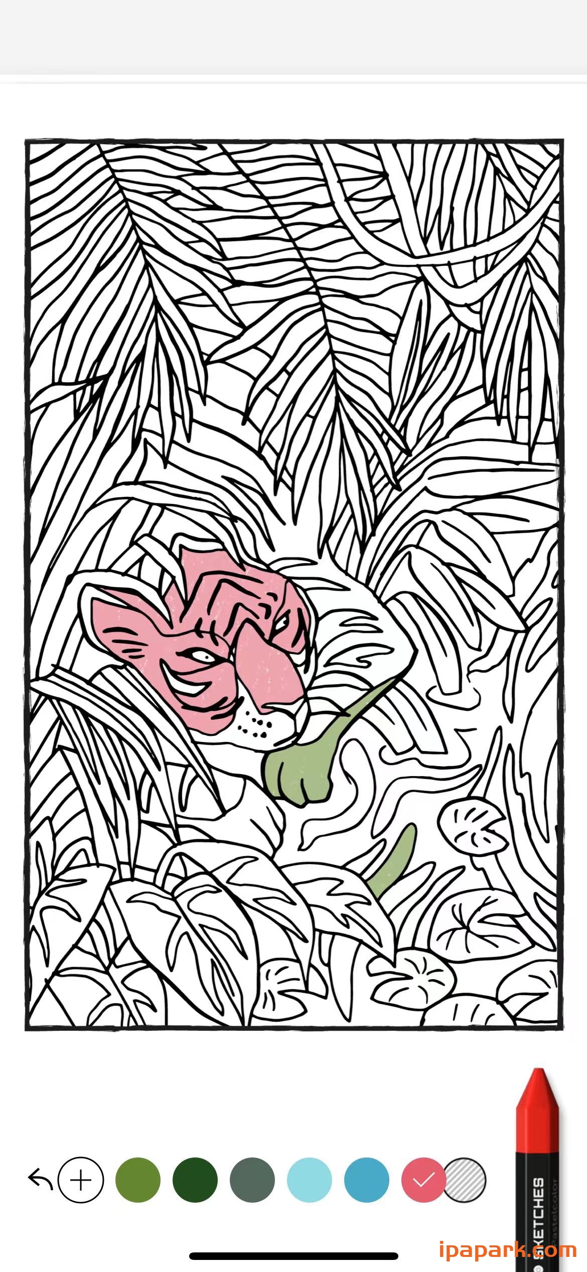 彩色绘画 Tayasui Color 2 1.5-ANR资源网 更多 图2张