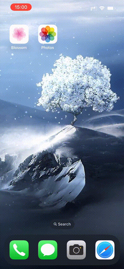 Blossom 1.0 动态壁纸-ANR资源网 更多 图2张