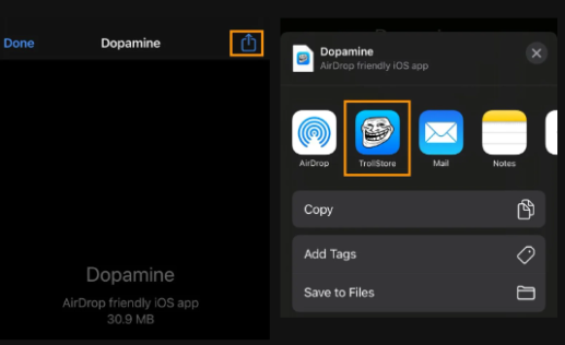 图片[1]-Dopamine多巴胺越狱教程-ANR资源网